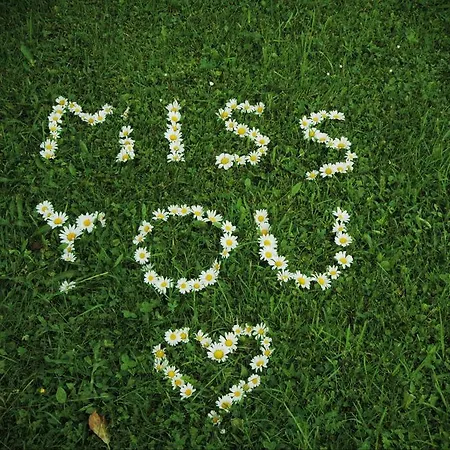 Margarethengut Farm stay