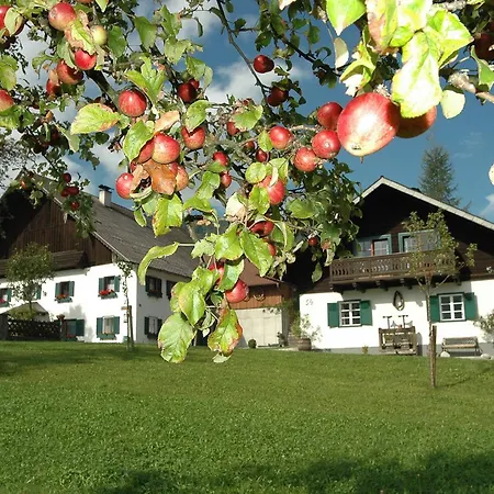 Margarethengut Farm stay *