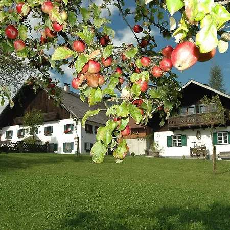 Margarethengut Farm stay *