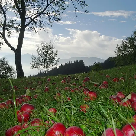 Margarethengut Farm stay