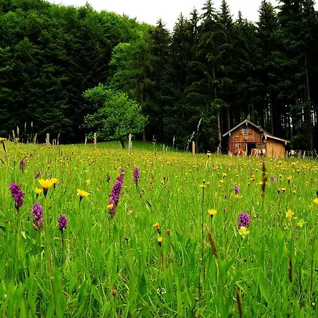Farm stay Margarethengut