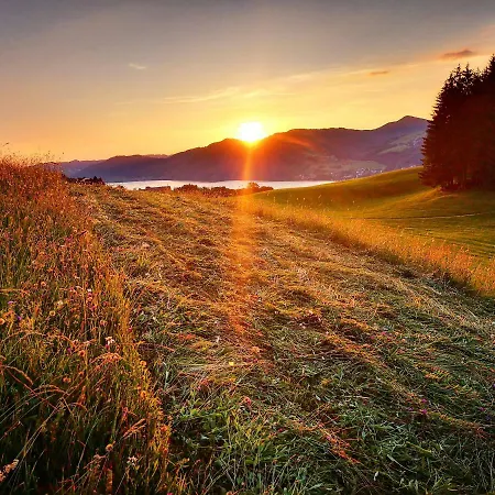 Farm stay Margarethengut *