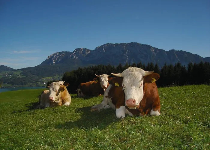 Margarethengut Κατάλυμα σε φάρμα Unterach am Attersee
