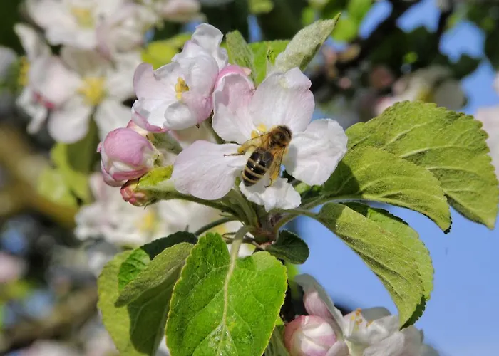 Margarethengut ファームステイ