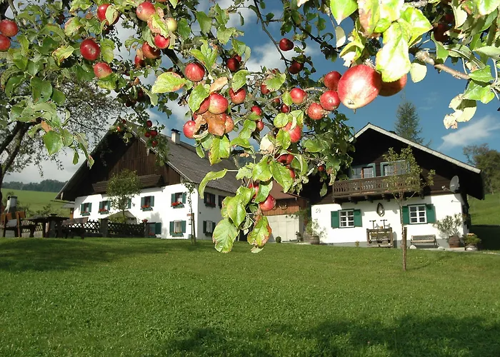 Margarethengut Κατάλυμα σε φάρμα *