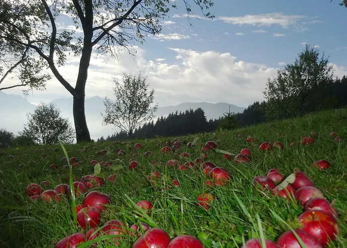 Margarethengut Κατάλυμα σε φάρμα
