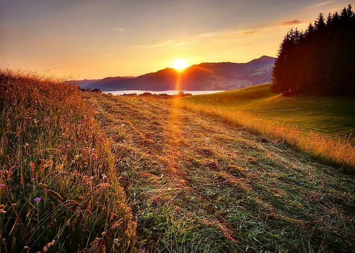 ファームステイ Margarethengut *