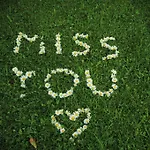 Margarethengut בית חווה