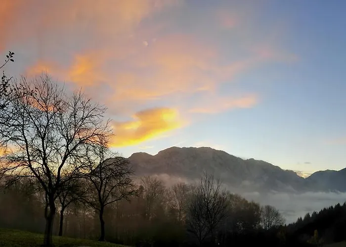 Margarethengut Κατάλυμα σε φάρμα