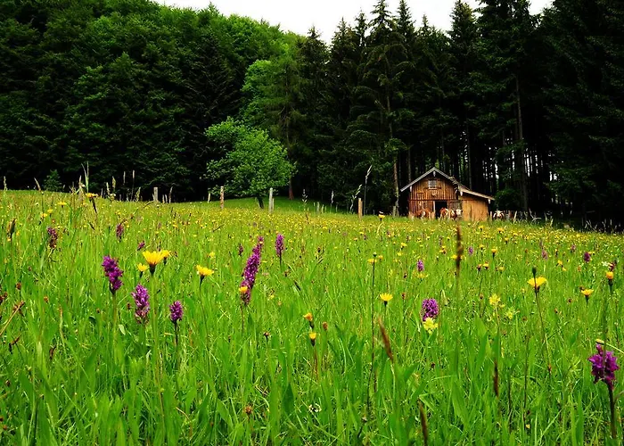 Farm stay Margarethengut